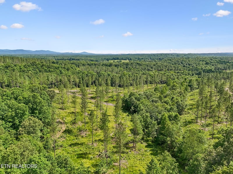 0 Sheep Ranch Rd #24, Robbins, TN 37852