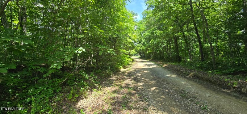 0 Sheep Ranch Rd, Oneida, TN 37841