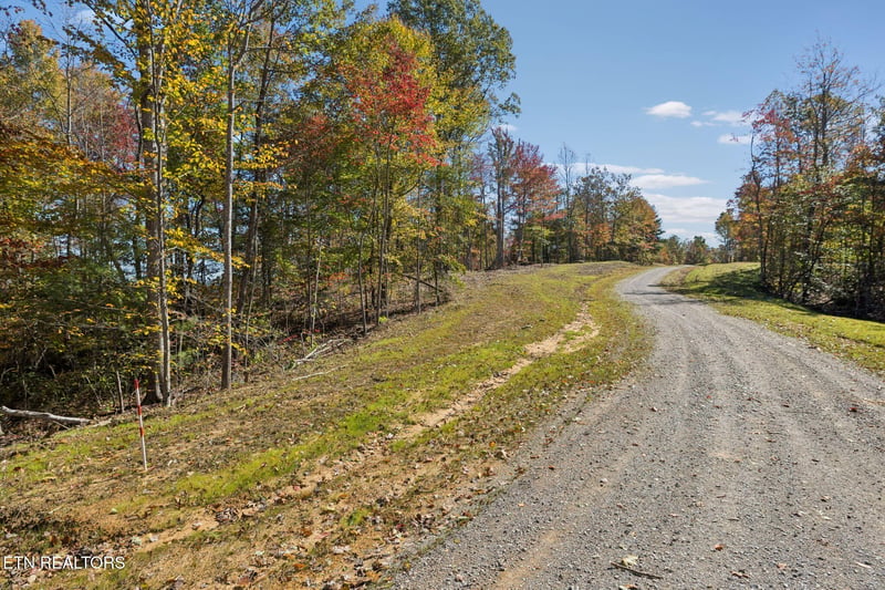 0 Sheep Ranch Rd, Robbins, TN 37852