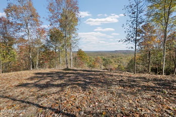 0 Sheep Ranch Rd, Robbins, TN 37852