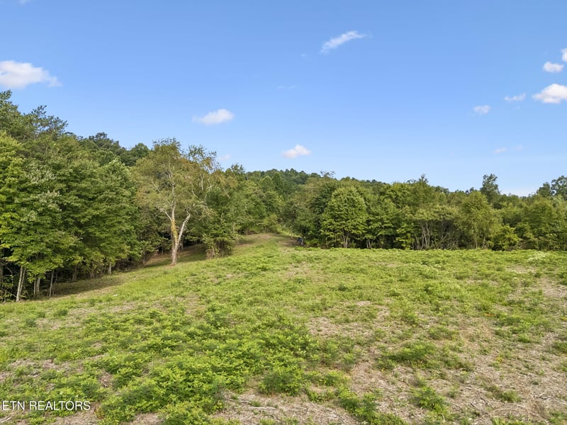 0 Sheep Ranch Rd Tract 3 Rd, Robbins, TN 37852