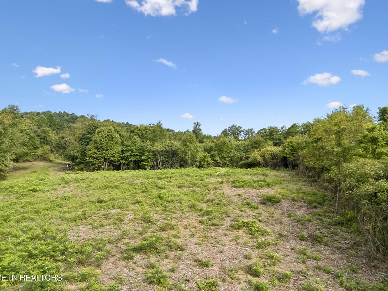 0 Sheep Ranch Rd Tract 3 Rd, Robbins, TN 37852
