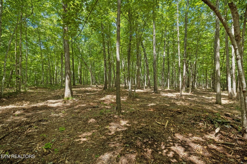 0 Sheep Ranch Rd #Tract 7, Robbins, TN 37852
