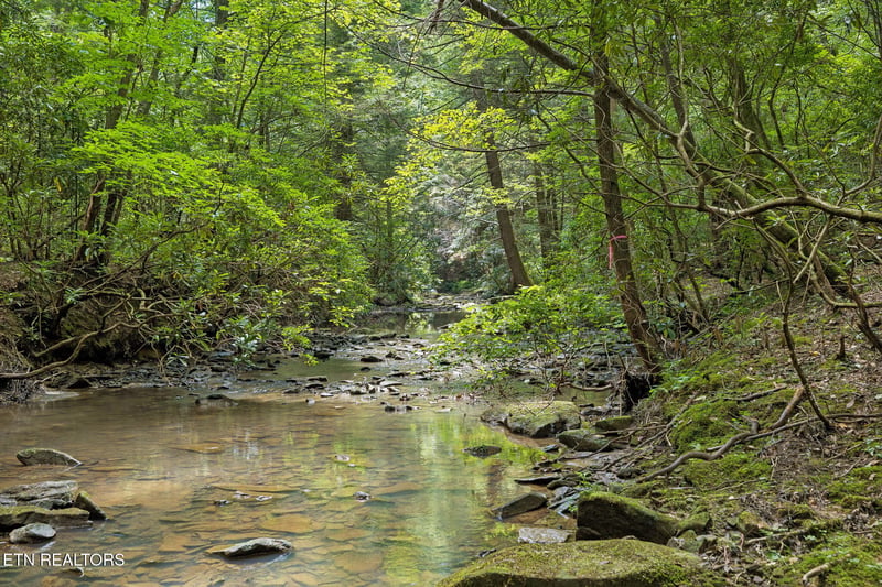 0 Sheep Ranch Rd #Tract 7, Robbins, TN 37852
