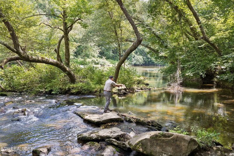 0 Sheep Ranch Rd #Tract 7, Robbins, TN 37852