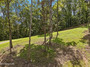 0 Sheep Ranch Rd #Tract 7, Robbins, TN 37852
