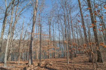 0 Sheerwater Rd, Kingston, TN 37763