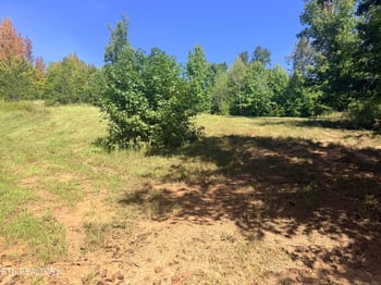 0 Sheerwater Rd, Kingston, TN 37763