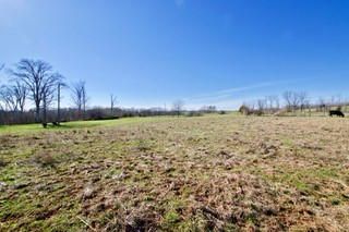0 Sheets Hollow Rd, Greenback, TN 37742