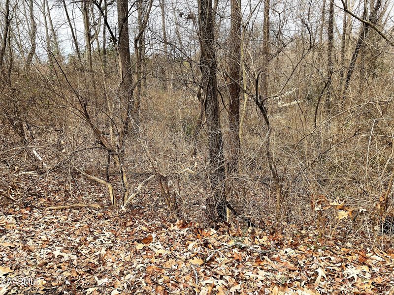 0 Sherwood Dr, Morristown, TN 37814