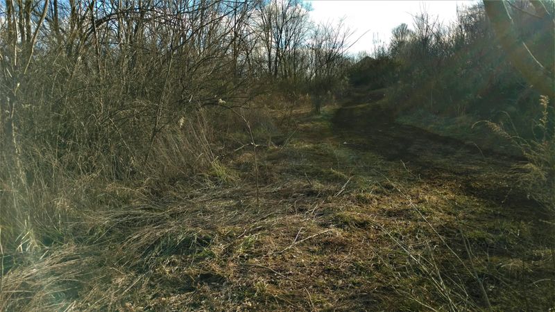 0 Shields Ferry Rd, Morristown, TN 37814