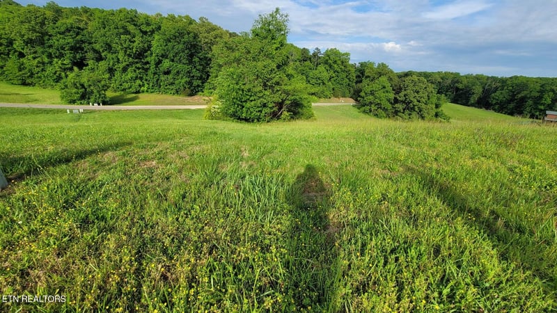 0 Shiloh Springs Rd, Rutledge, TN 37861