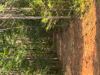 0 Shoal Creek Rd, Englewood, TN 37329