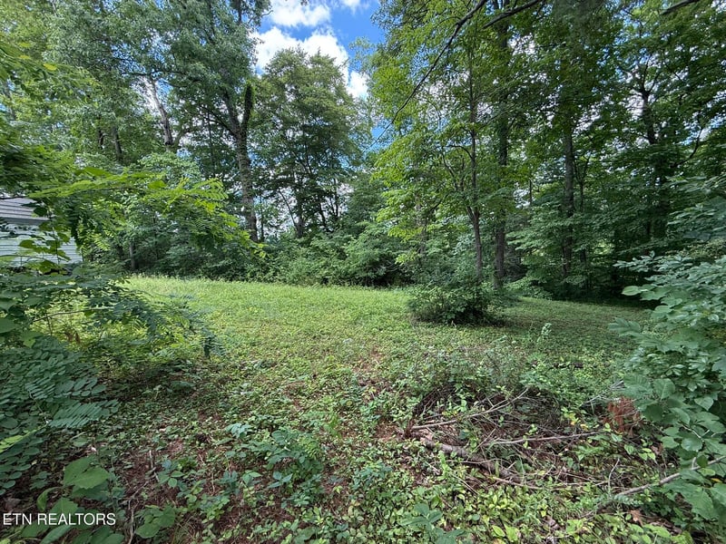 0 Shoreline Cir, Lafollette, TN 37766