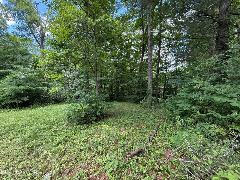 0 Shoreline Cir, Lafollette, TN 37766