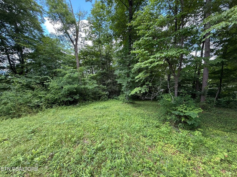 0 Shoreline Cir, Lafollette, TN 37766