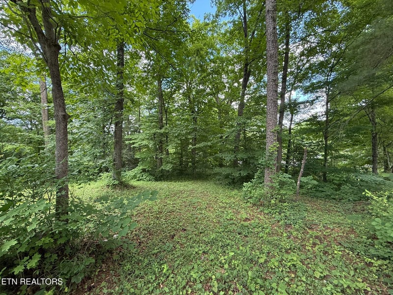 0 Shoreline Cir, Lafollette, TN 37766