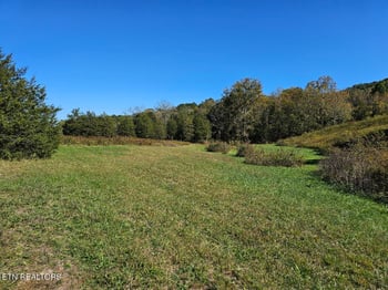 0 Shoreline Vi, Sharps Chapel, TN 37866