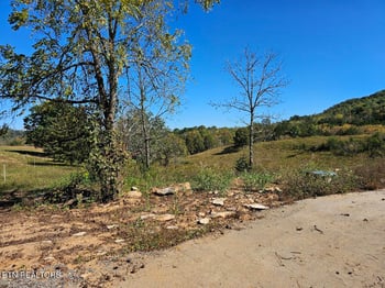 0 Shoreline Vi, Sharps Chapel, TN 37866