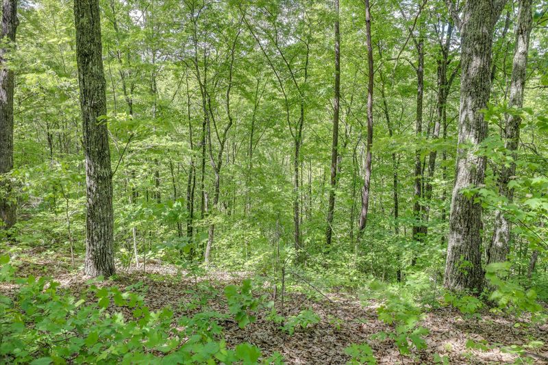 0 Shular Hollow Way, Sevierville, TN 37876