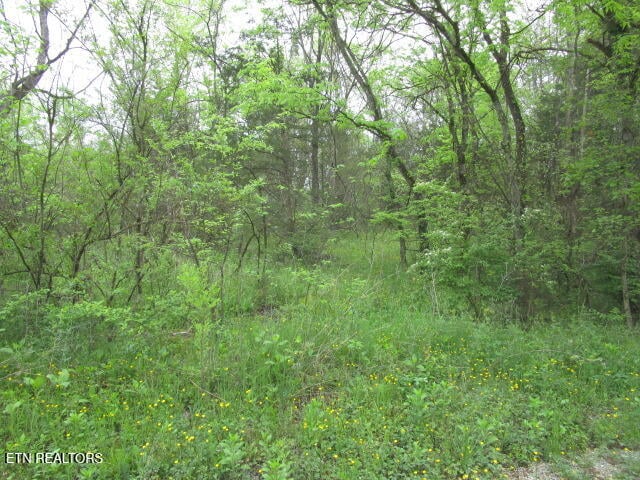 0 Silent Ln, Rutledge, TN 37861