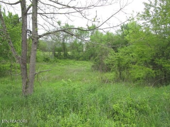 0 Silent Ln, Rutledge, TN 37861