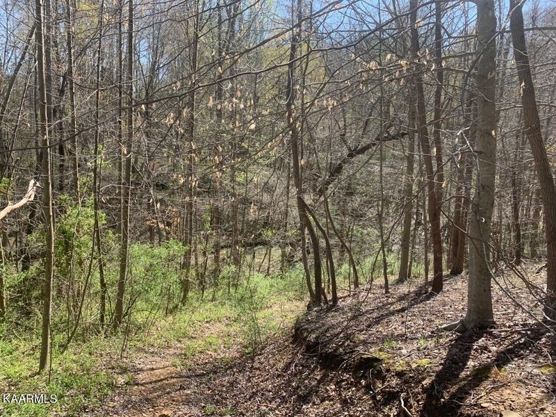 0 Simpson Rd, Helenwood, TN 37755