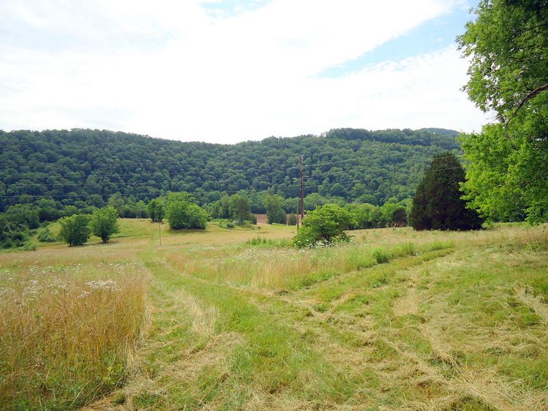 0 Sinking Cave Rd, Tellico Plains, TN 37385