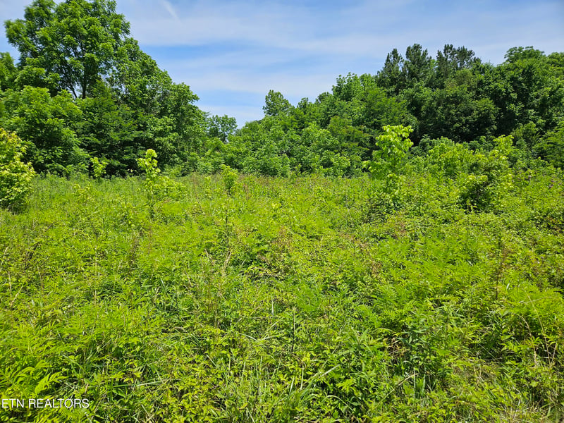 0 Six Mile Rd, Maryville, TN 37803