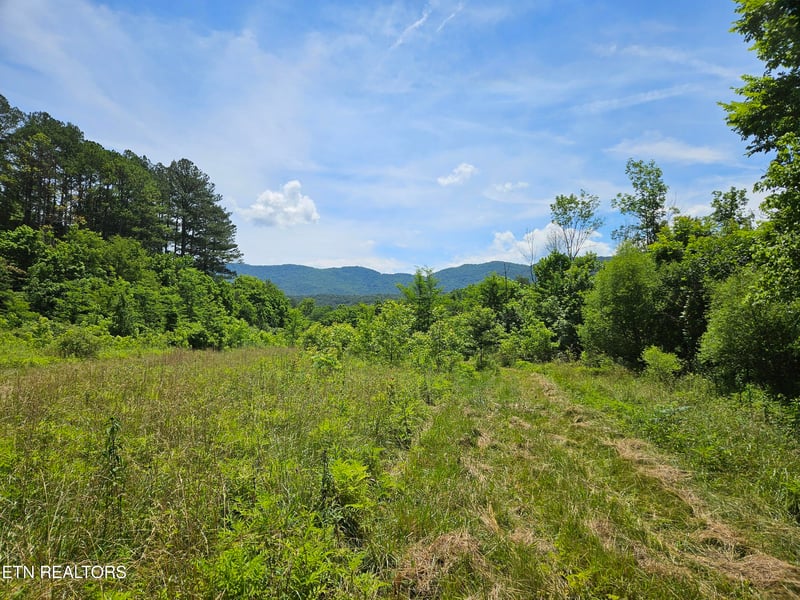 0 Six Mile Rd, Maryville, TN 37803
