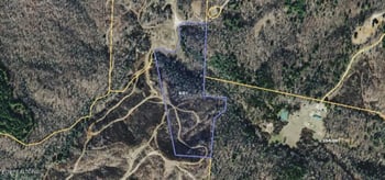 0 Skull Creek Rd, Robbins, TN 37852