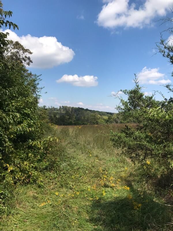 0 Sky Dome Rd, Sweetwater, TN 37874