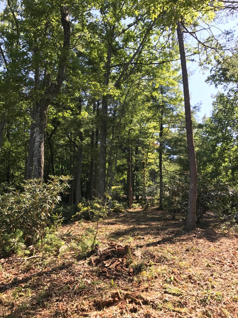 0 Slate Quarry Point Rd, Townsend, TN 37882