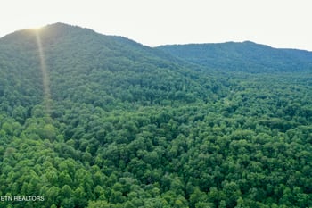 0 Smith Creek Rd, Winfield, TN 37892