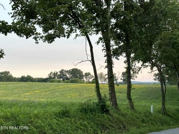 0 Smith Mountain Rd, Rockwood, TN 37854