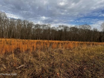 0 Smith Mountain Rd, Rockwood, TN 37854