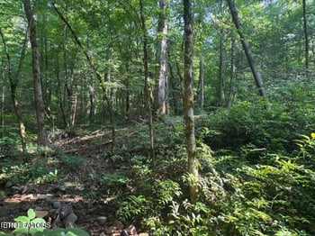 0 Smoky Cove Rd, Sevierville, TN 37876