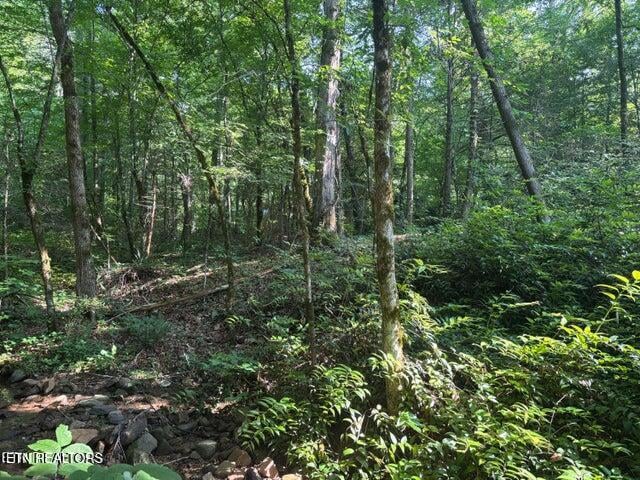 0 Smoky Cove Rd, Sevierville, TN 37876
