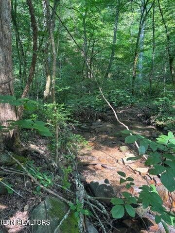 0 Smoky Cove Rd, Sevierville, TN 37876