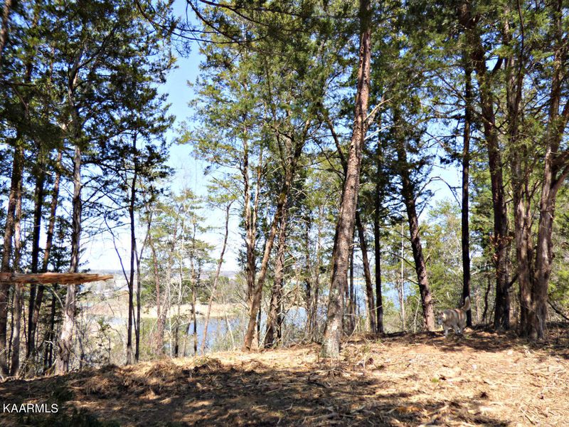0 Snapdragon Rd, Sevierville, TN 37876