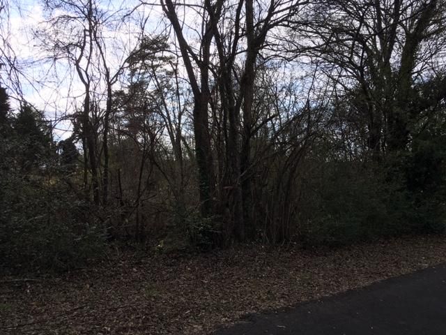 0 Snapp Rd, Louisville, TN 37777