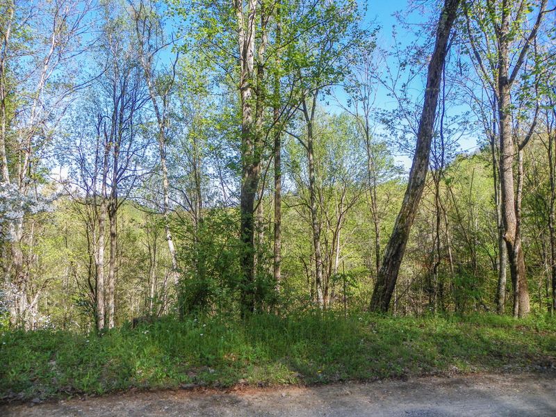 0 Sourwood Way, Sevierville, TN 37862