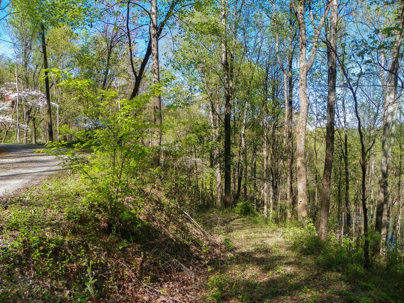 0 Sourwood Way, Sevierville, TN 37862