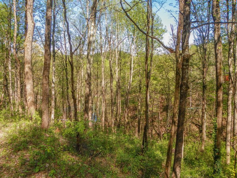 0 Sourwood Way, Sevierville, TN 37862