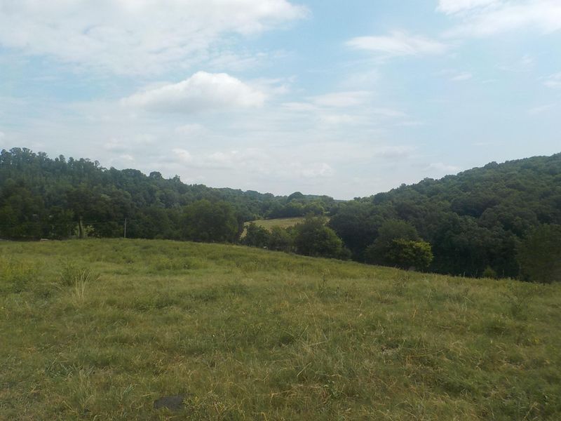 0 Spencer Hollow Rd, Blaine, TN 37709