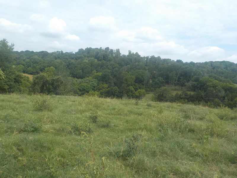 0 Spencer Hollow Rd, Blaine, TN 37709
