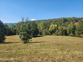 0 Spring City Hwy, Rockwood, TN 37854
