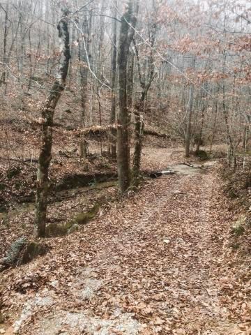 0 Spring Creek Rd, Sharps Chapel, TN 37866