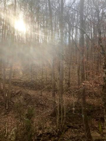 0 Spring Creek Rd, Sharps Chapel, TN 37866