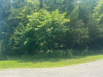 0 Spring Ln, Philadelphia, TN 37846